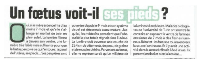 Un foetus voit-il ses pieds?